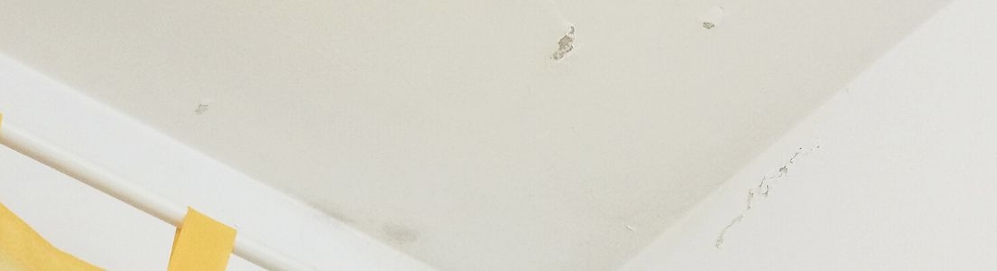 capillary-and-condensation-dampness